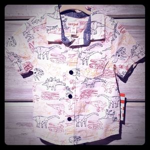 Cat & Jack - dinosaur button up